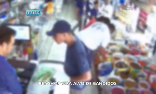 Homem é preso furtando roupas de cachorro em pet shop