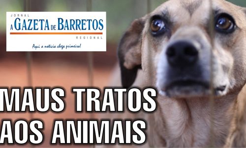 Vigilante denuncia maus tratos contra cachorro no bairro Nadir Kenan