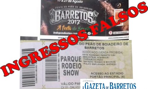 Mulher diz ter pagado 400 reais em ingresso falso