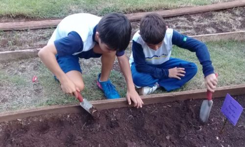 LIÇÃO PRA VIDA TODA: 5 lições da jardinagem para as crianças