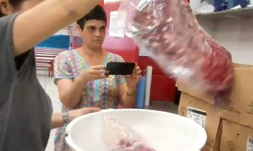 SÃO PAULO: Pais encontram carne estragada, comprada para merenda, em cozinha de escola pública