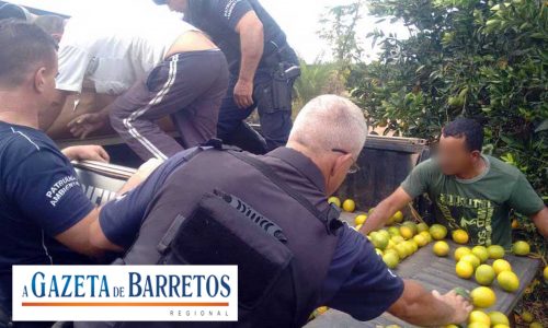 Servente é preso por furtar laranjas em fazenda