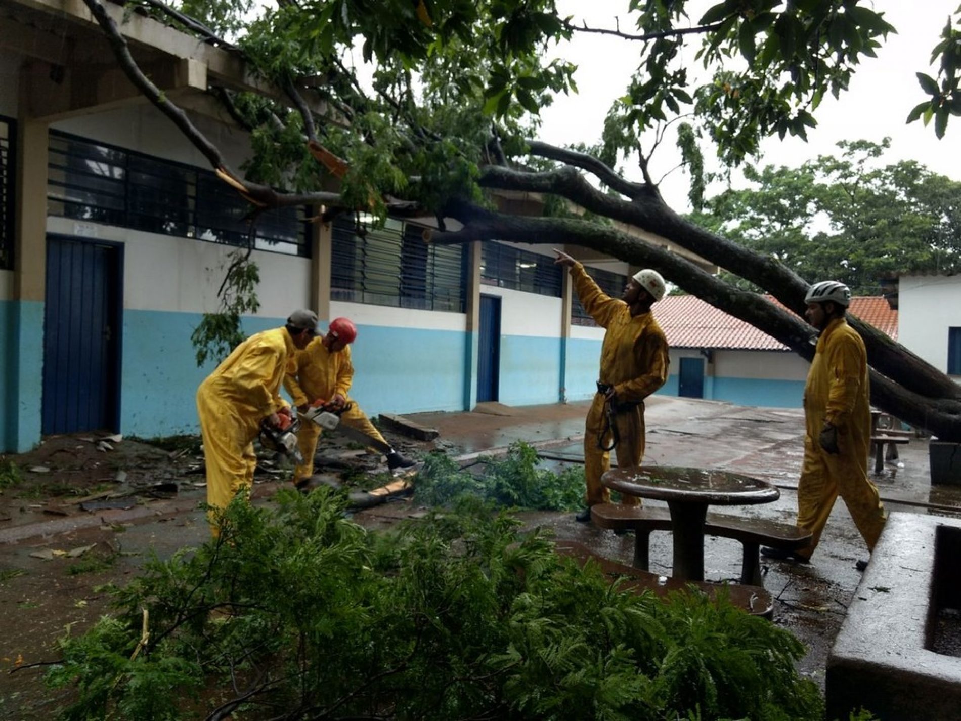 REGIÃO: Árvore atinge telhado de escola durante temporal