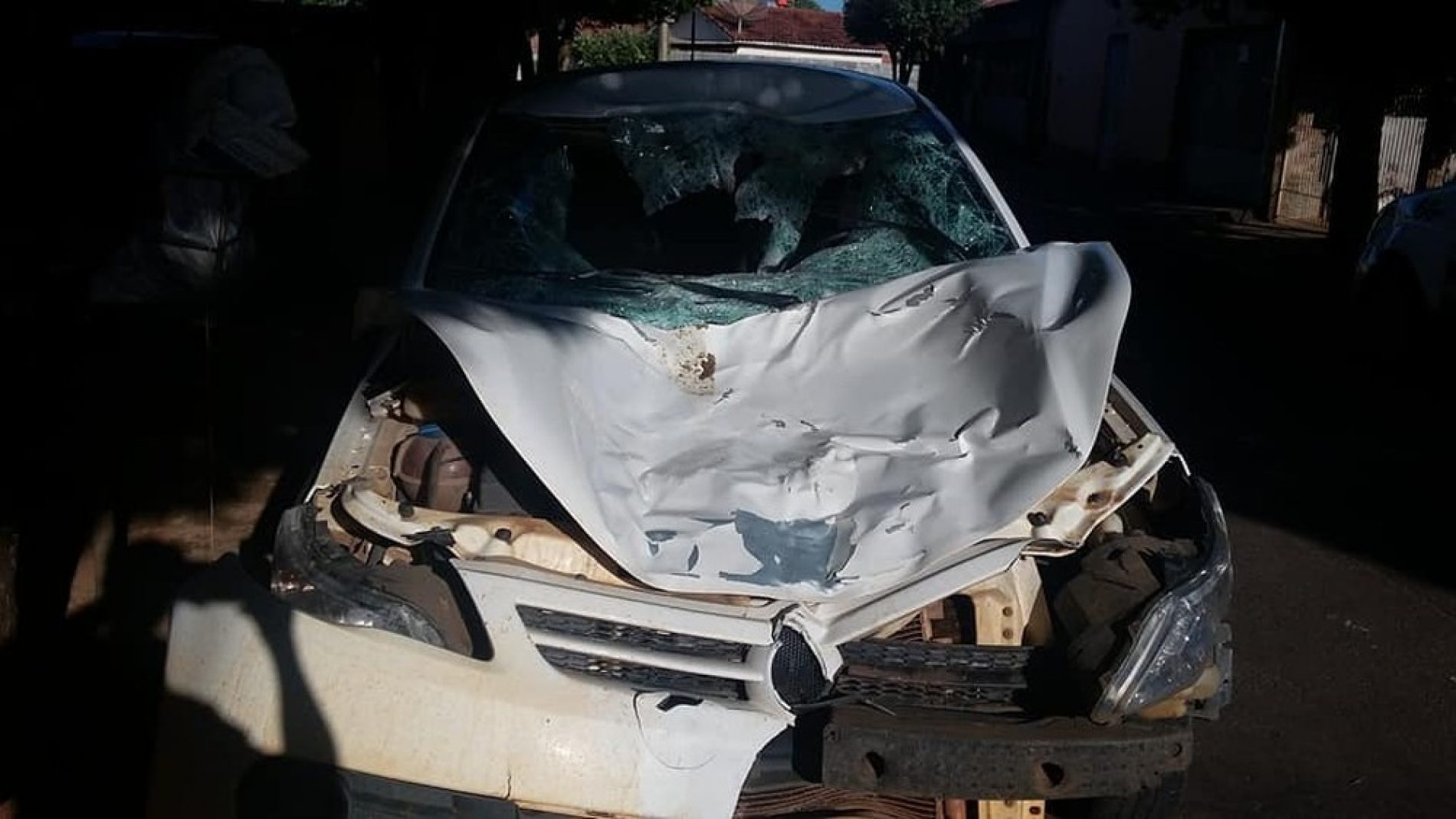 REGIÃO: Jovem fica ferido ao atropelar cavalo em rodovia de Castilho