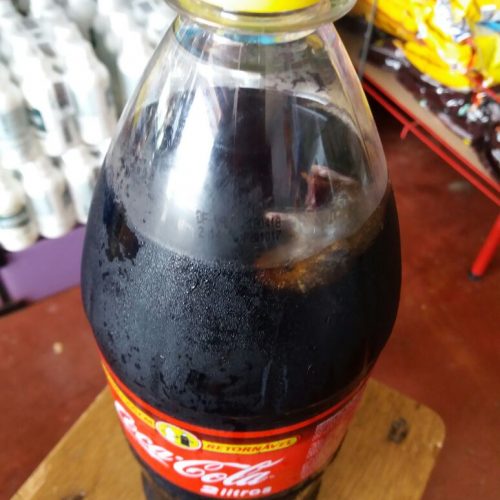 VERDADE OU MENTIRA?: Rato é encontrado dentro de garrafa de Coca-Cola retornável  com Validade: 18/04/18