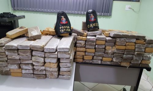 BARRETOS: Policia Militar apreende mais de 112 quilos de maconha em prisão de três pessoas por tráfico de drogas em uma fazenda nas Contendas