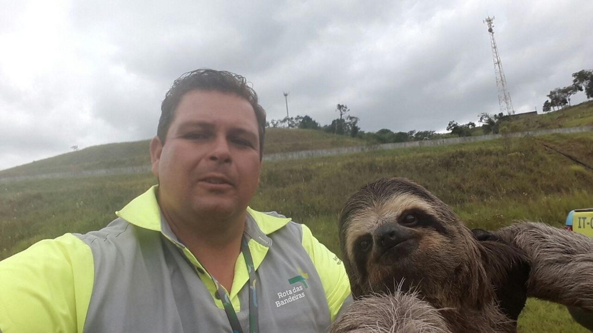 BRASIL: Bicho-preguiça ‘faz selfie’ com funcionário de concessionária de rodovia em Igaratá