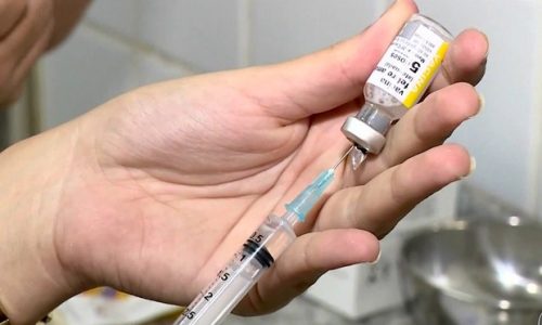 SAUDE: Vacina da febre amarela – principais efeitos adversos