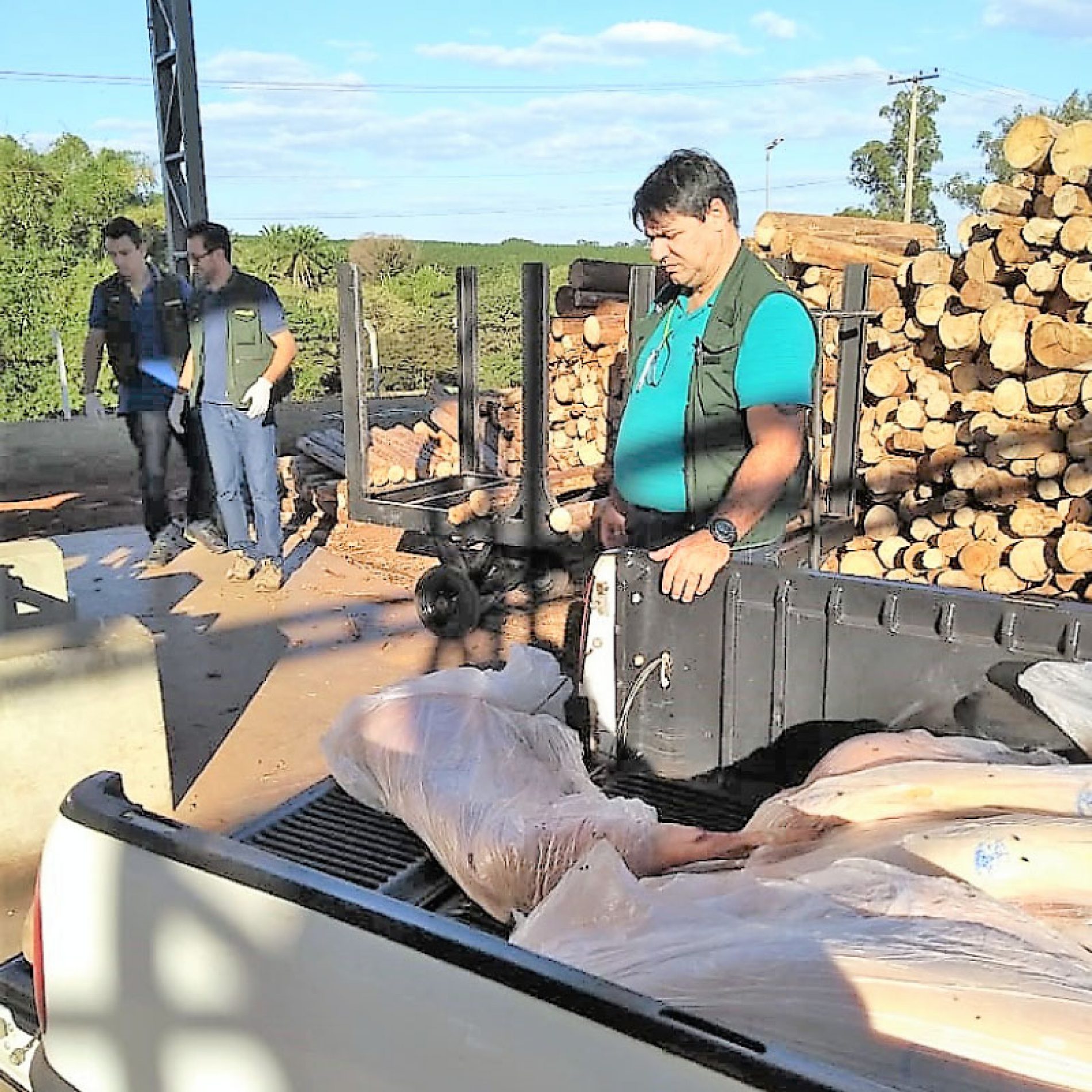 BARRETOS: Vigilância Sanitária incinera quase 600 quilos de carne de porco