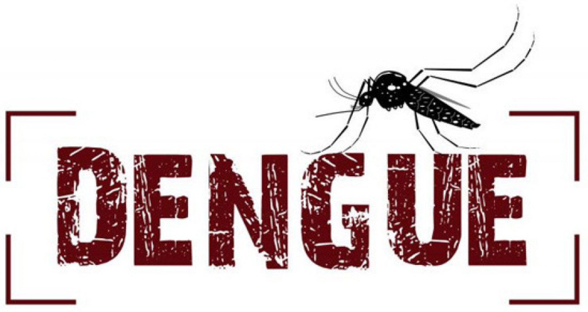 BARRETOS: Mulher pode ter falecido em decorrência da Dengue