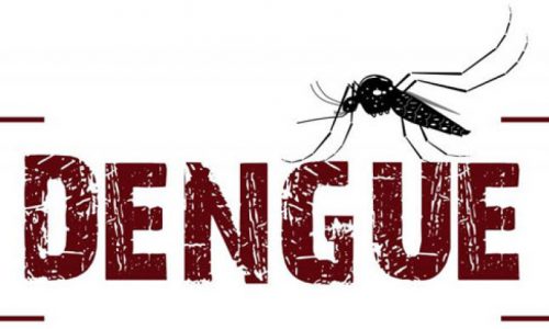 BARRETOS: Mulher pode ter falecido em decorrência da Dengue