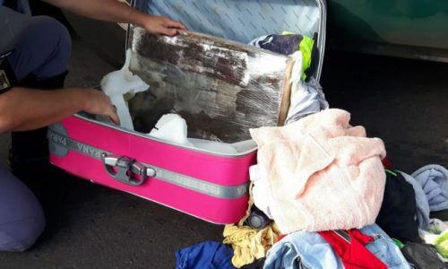 REGIÃO: Mulher é presa com 22 tabletes de maconha escondidos em mala