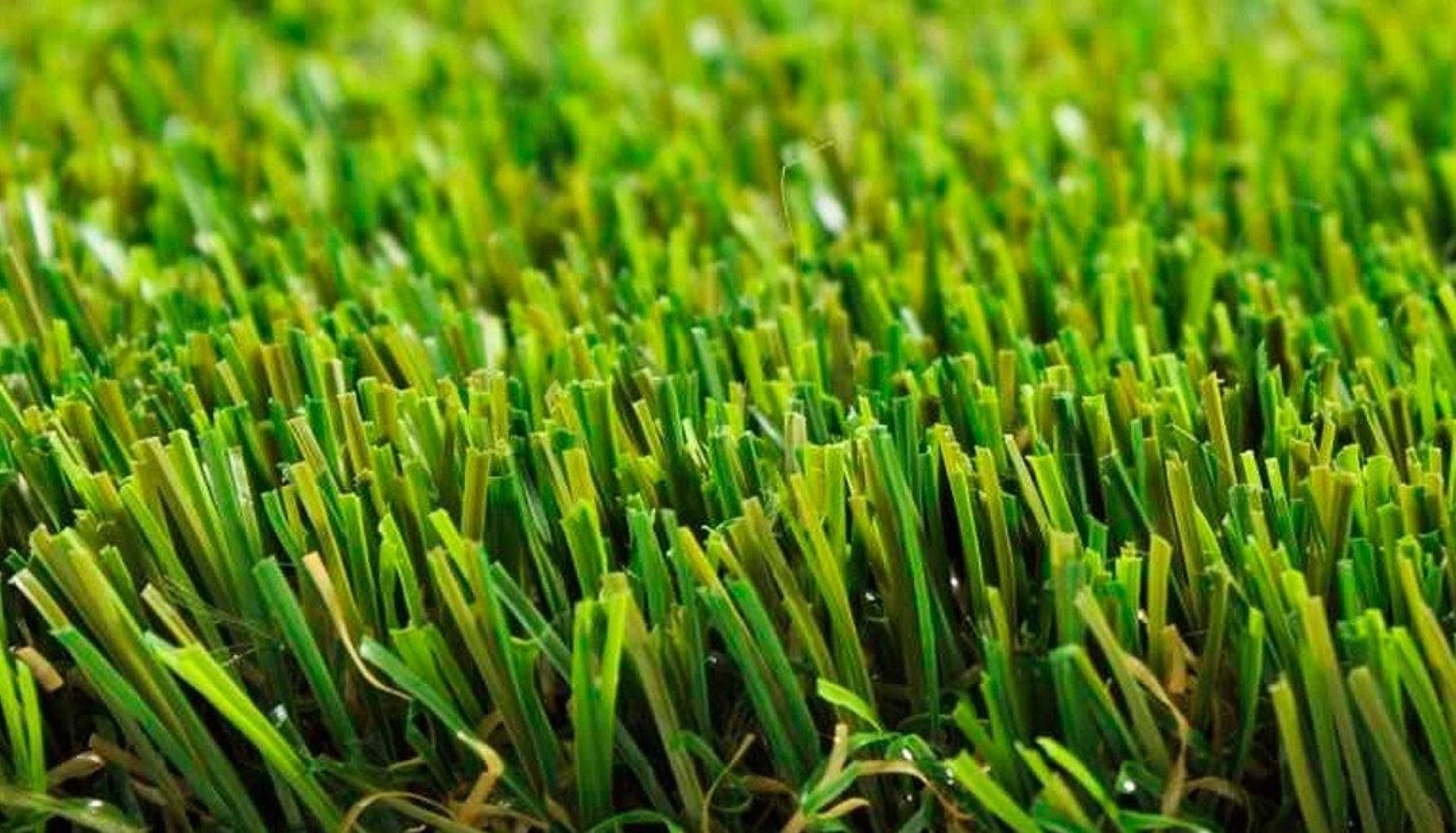 BARRETOS: Furto de tapete de grama em chácara