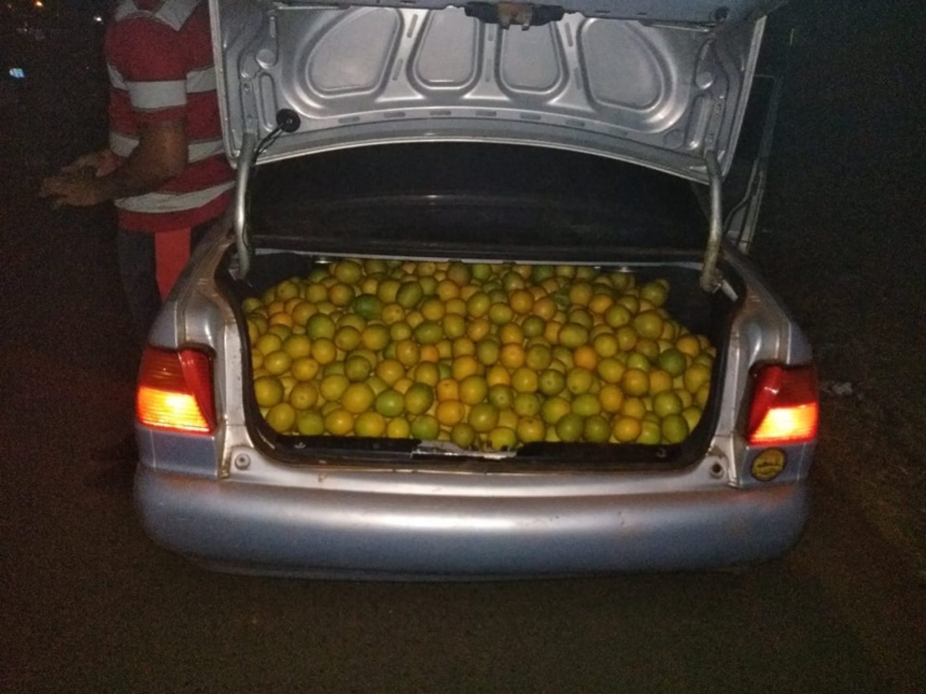 OLÍMPIA: Dois Homens são preso após furtarem laranjas