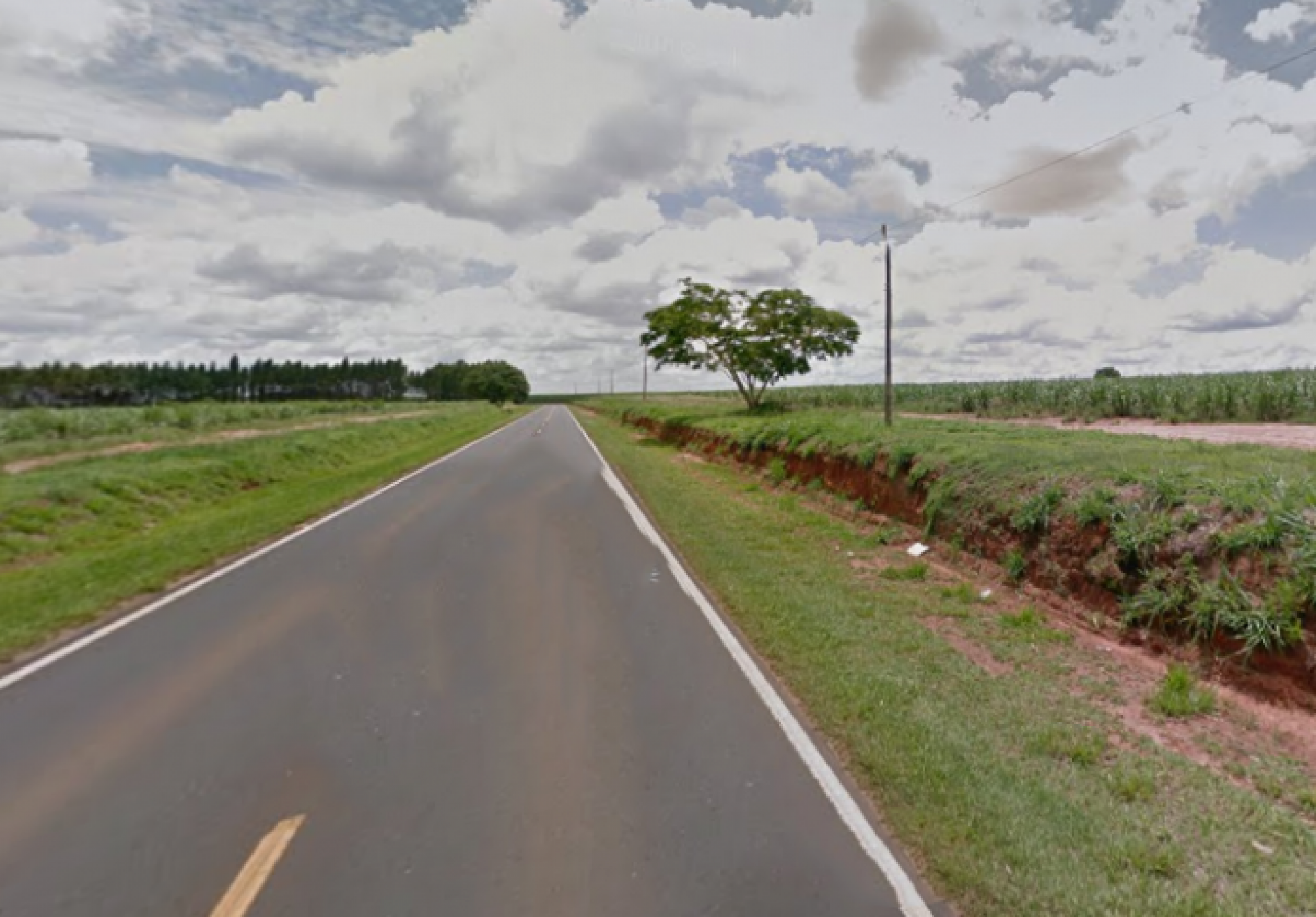 REGIÃO: Corpo encontrado em canavial de Catanduva pode ser de jovem desaparecido em Guaíra