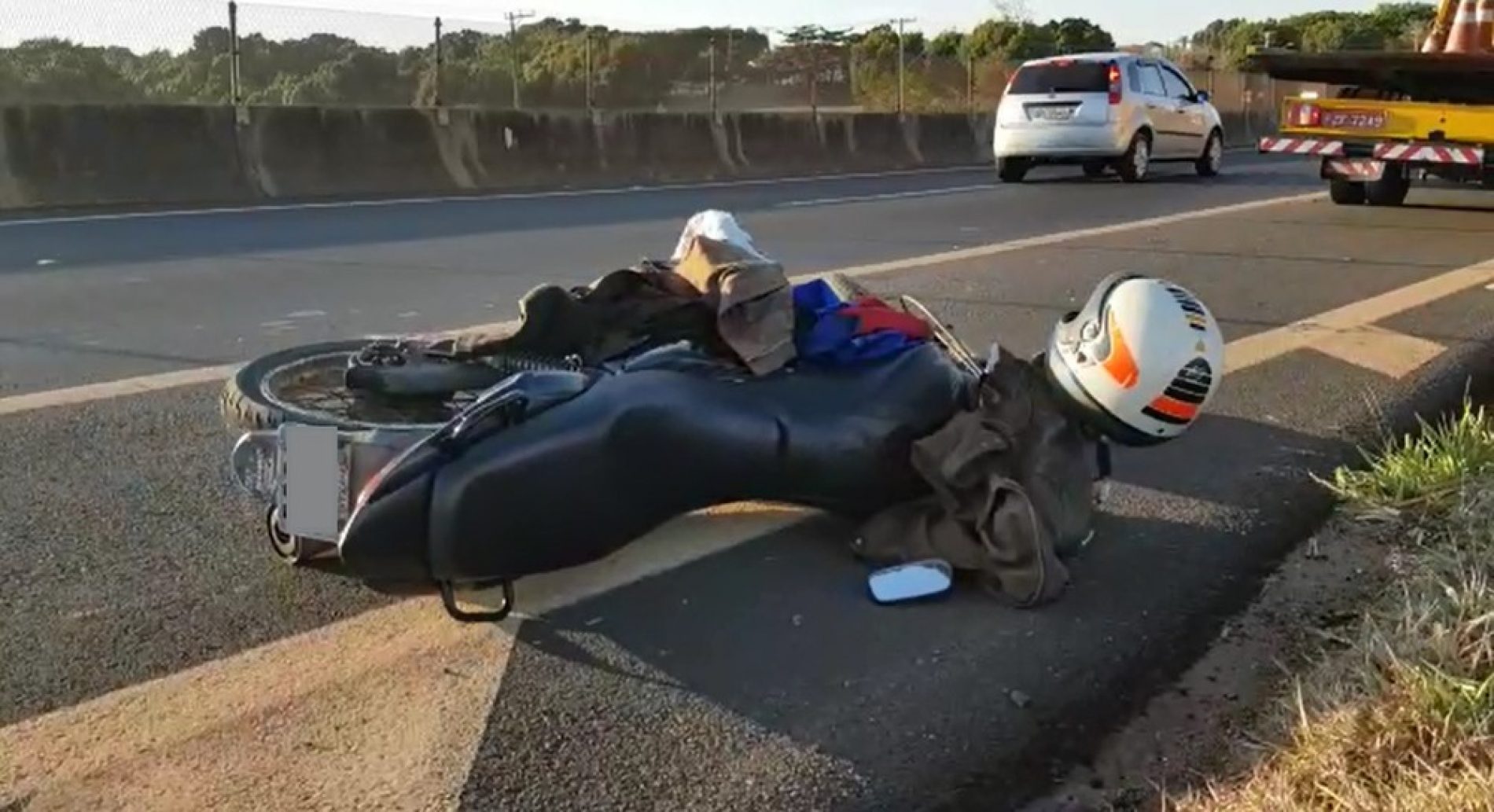 REGIÃO: Motociclista morre após atropelar cavalo na Rodovia