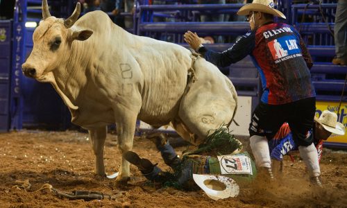 BARRETOS: Peão do Paraná é pisoteado por touro na abertura da Liga Nacional