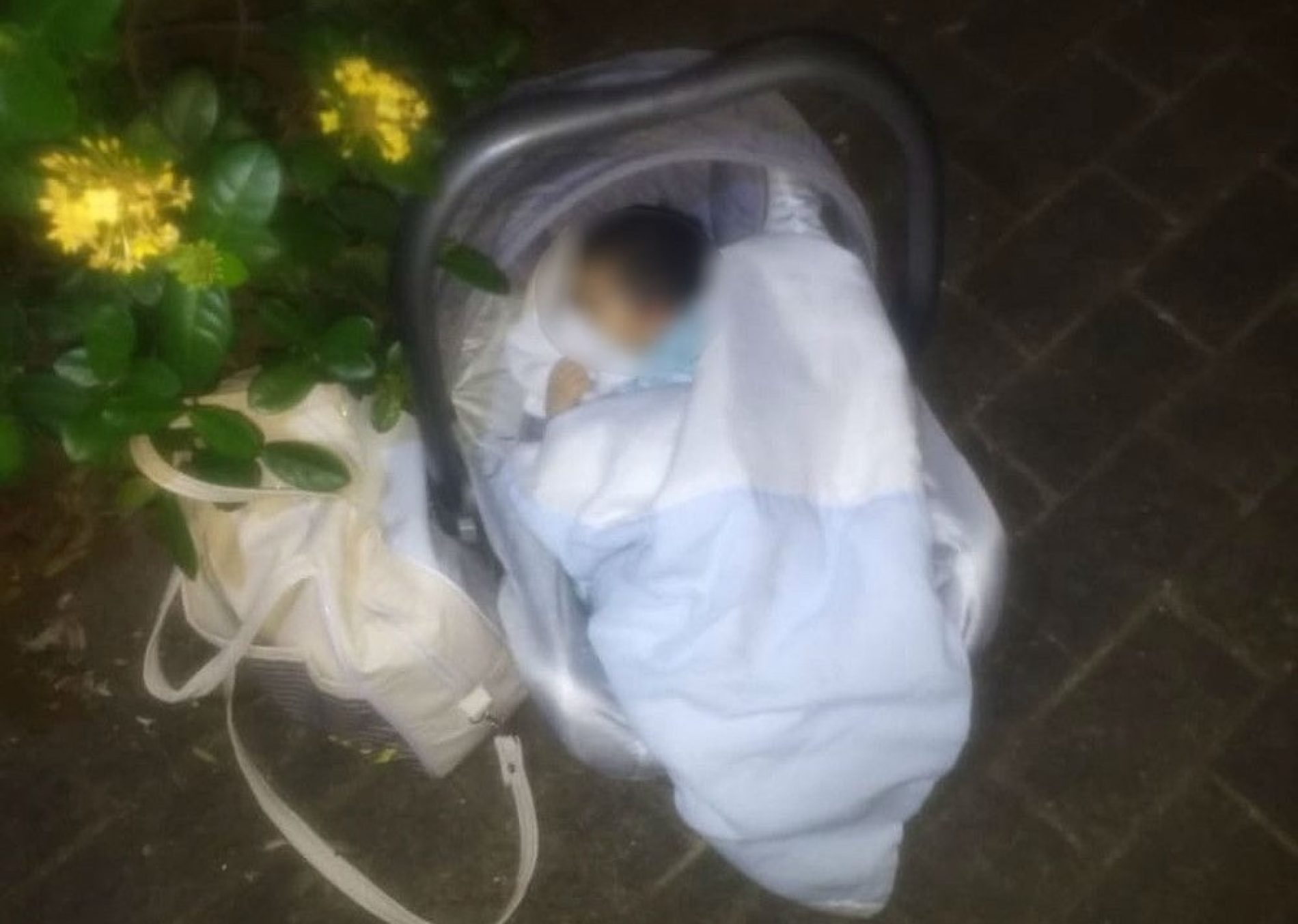 REGIÃO: Recém-nascido é encontrado atrás de arbusto em praça