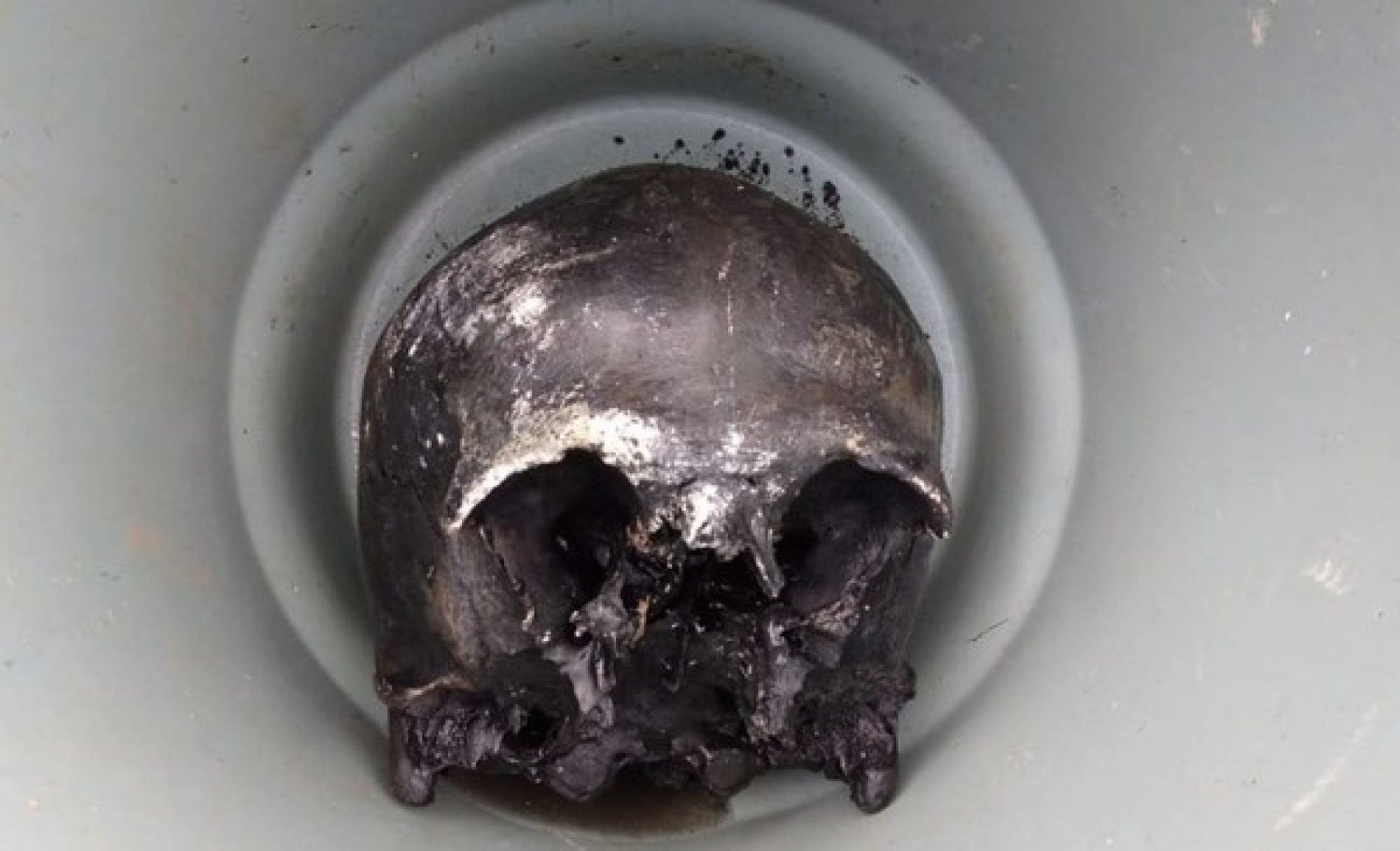 REGIÃO: Polícia Civil investiga crânio humano encontrado na rede de esgoto