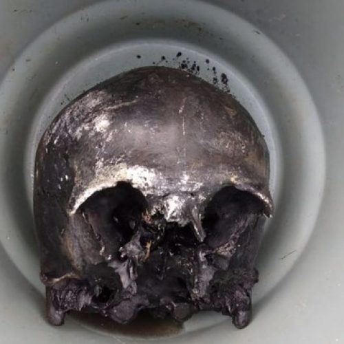 REGIÃO: Polícia Civil investiga crânio humano encontrado na rede de esgoto