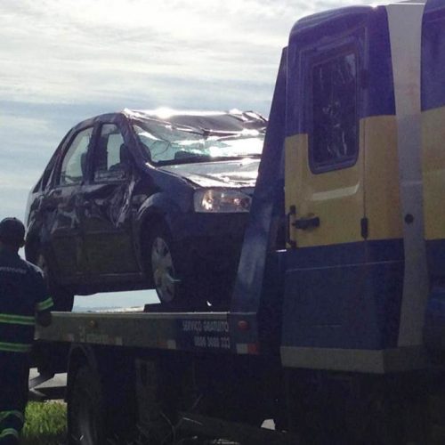 REGIÃO: Carro capota após motorista tentar desviar de cachorro em rodovia