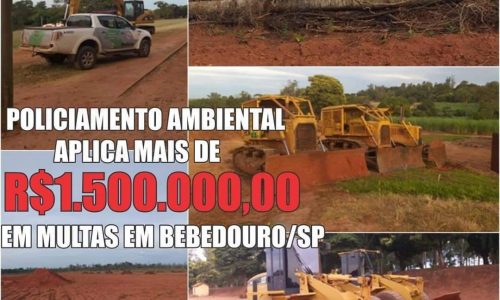 BEBEDOURO: Polícia Ambiental aplica mais de um milhão e meio de multa e embarga área desmatada