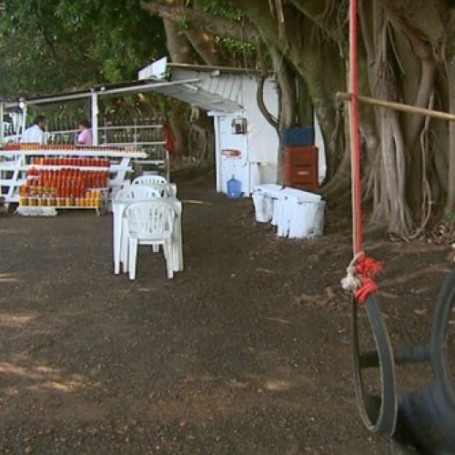REGIÃO: Concessionária pede saída de barracas de frutas que funcionam há 50 anos ao lado de rodovia