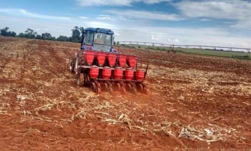 GUAÍRA: Cidade lidera municípios do agronegócio com maior crescimento do PIB no Brasil