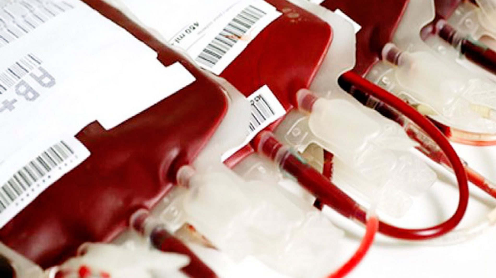 JUNHO VERMELHO: campanha destaca a importância da doação de sangue