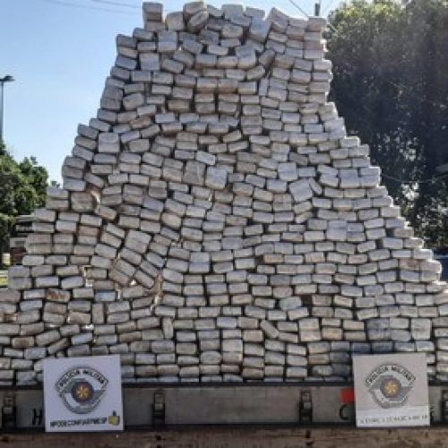 REGIÃO: Carga de maconha apreendida pela polícia em Castilho totaliza 571 quilos