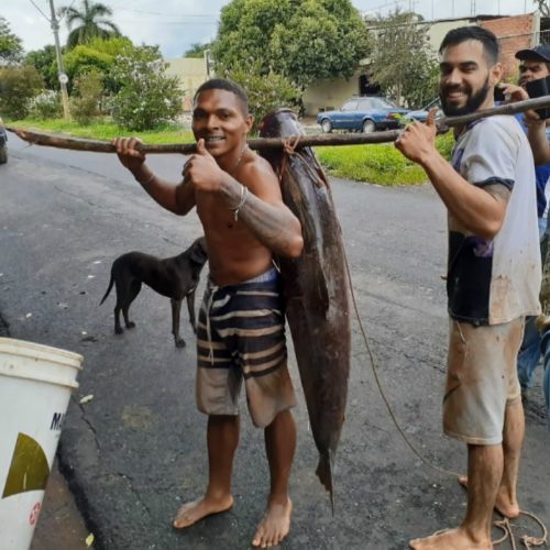 REGIÃO: ‘Não foi pesca, foi caça’, diz jovem que capturou peixe de 36 kg