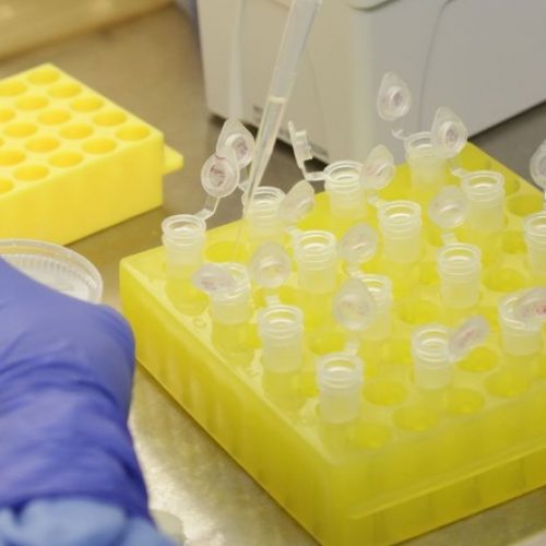 REGIÃO: Estelionatários ‘cobram’ de famílias de pacientes internados por exame do novo coronavírus