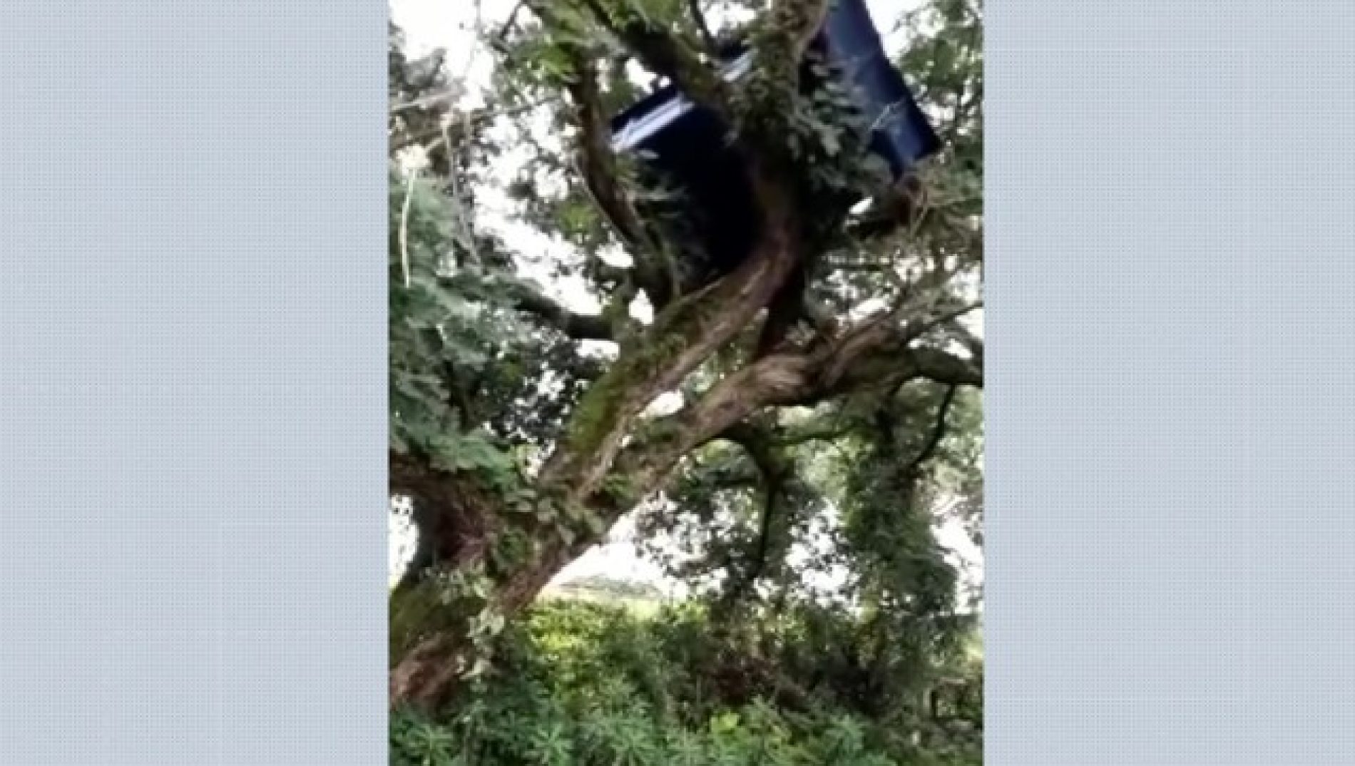 REGIÃO: Piscina voa durante temporal e vai parar em cima de árvore; veja o vídeo