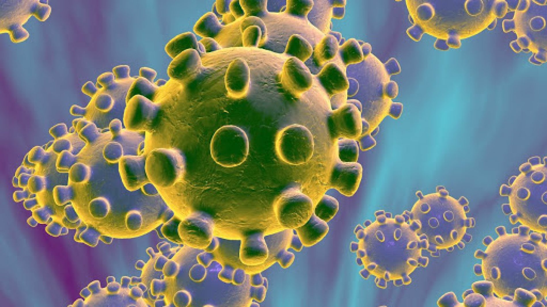 ‘Não há motivo para pânico’, diz chefe da OMS no Brasil sobre novo coronavírus