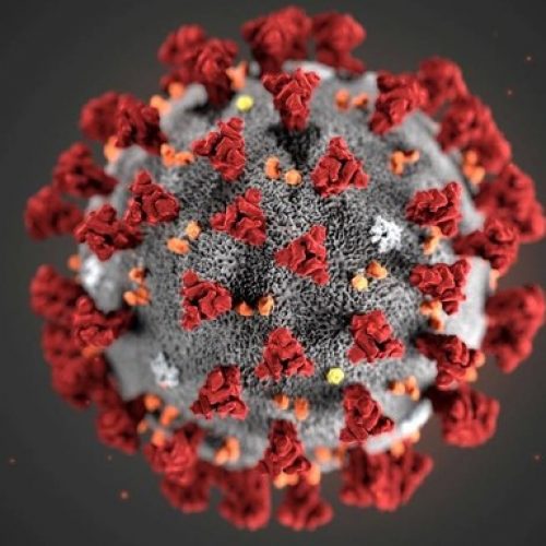 OLÍMPIA: Cidade registra segunda morte por coronavírus