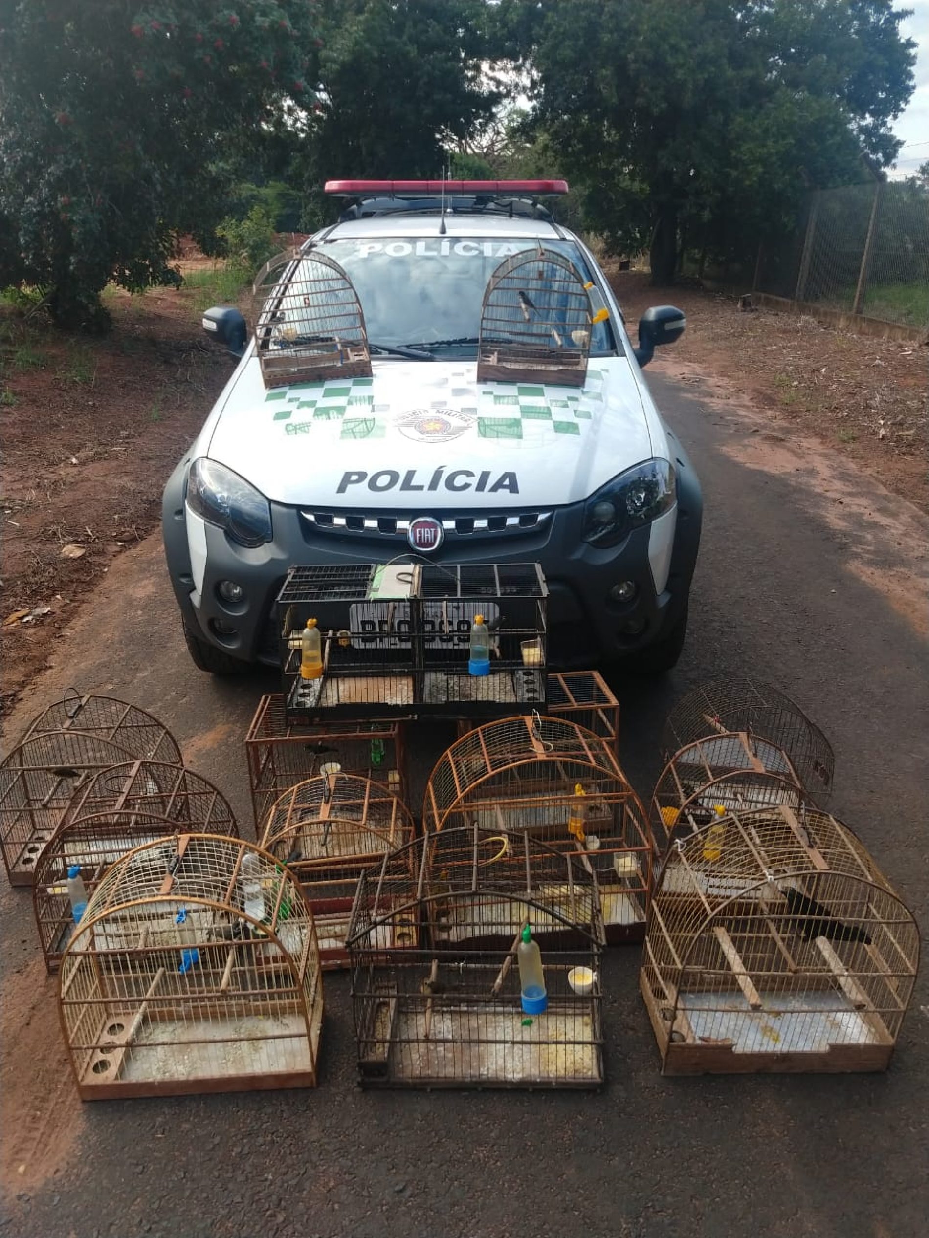 BARRETOS: Polícia Ambiental apreende aves, destrói gaiolas e aplica multa de R$12.500.00