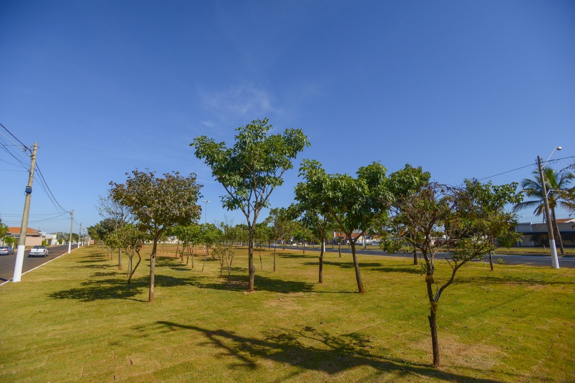 BARRETOS: Região do Jardim de Alah ganha nova área verde