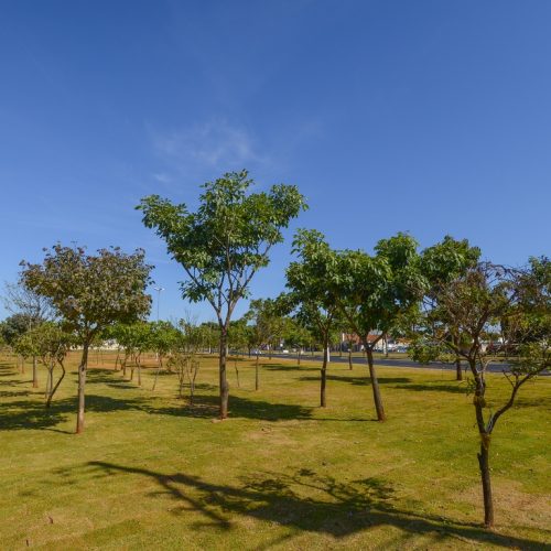BARRETOS: Região do Jardim de Alah ganha nova área verde
