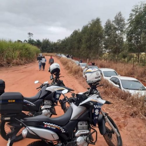 REGIÃO: Plantação de girassóis provoca aglomeração em Rio Preto