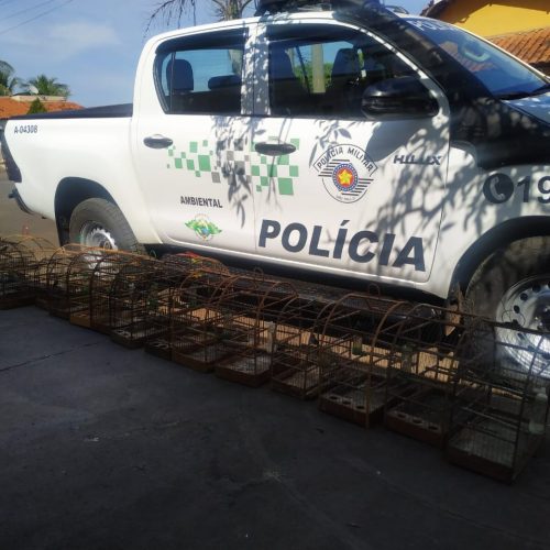 BARRETOS: Polícia Ambiental localiza aves em cativeiro e aplica multa de mais de 11 mil reais