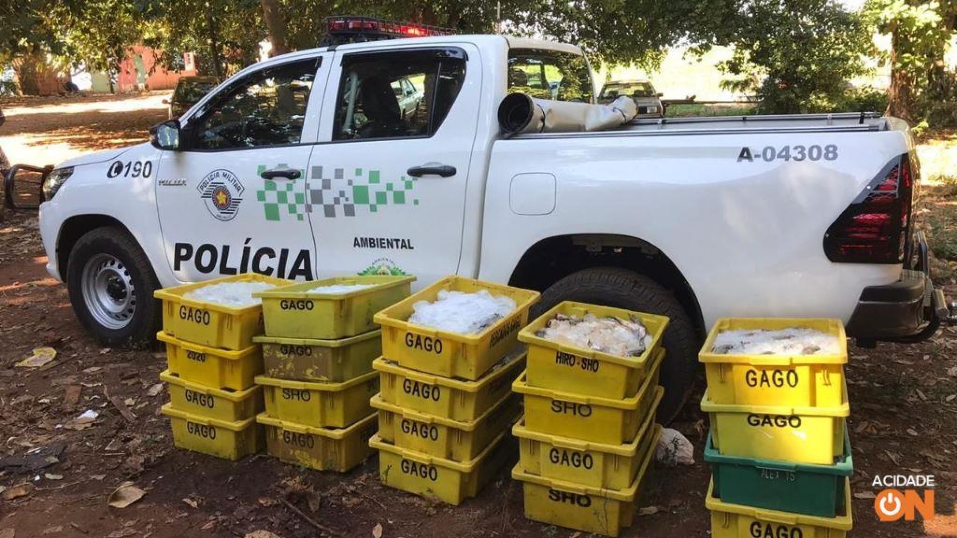 BARRETOS: Polícia ambiental apreende quase 2 toneladas de peixes