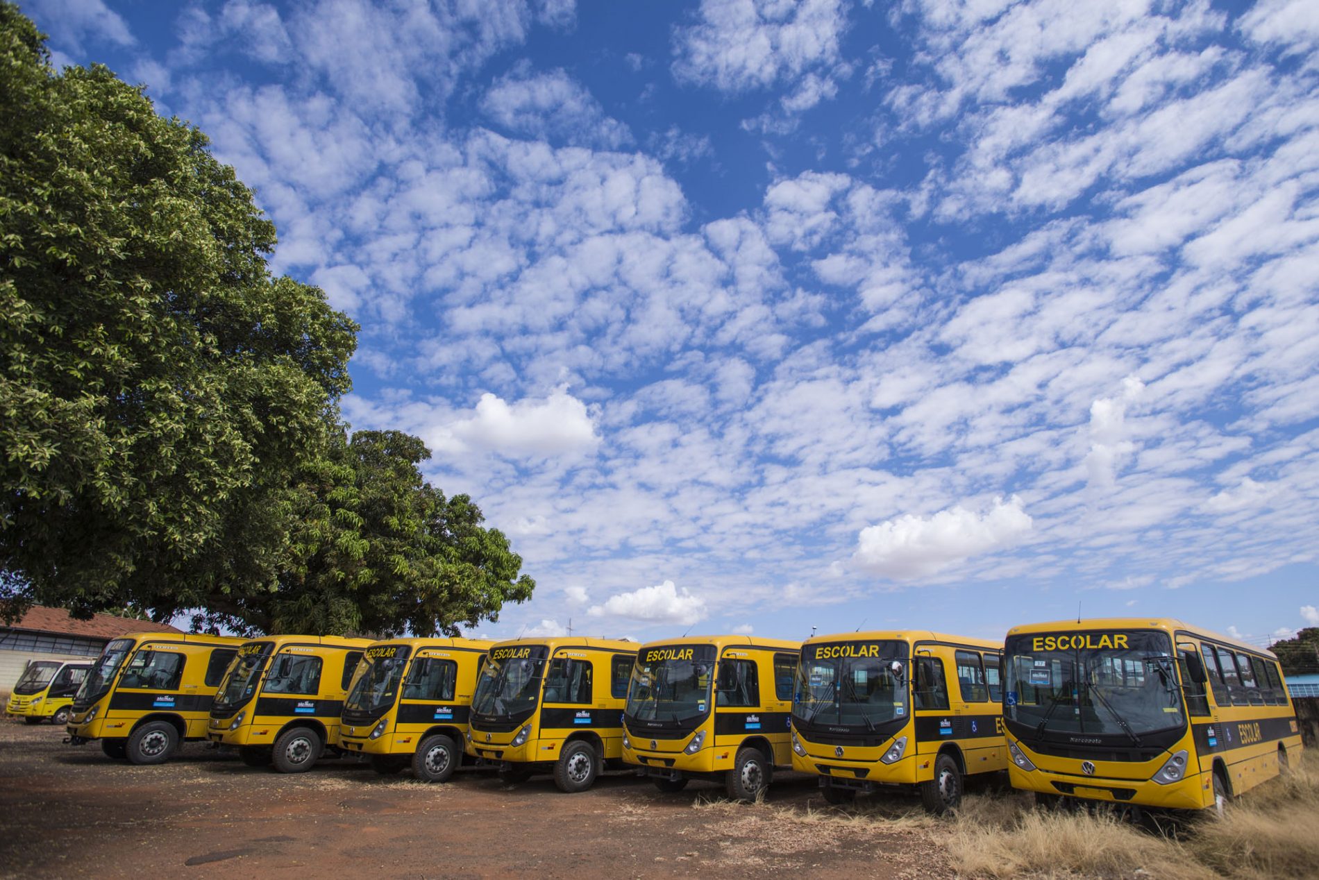 Barretos renova frota com sete novos ônibus para transporte escolar