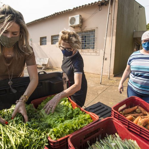 Entidades recebem a doação de hortaliças e verduras através do Fundo Social de Solidariedade de Barretos