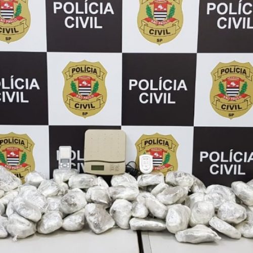 REGIÃO: Polícia encontra quase 40 kg de maconha em casa