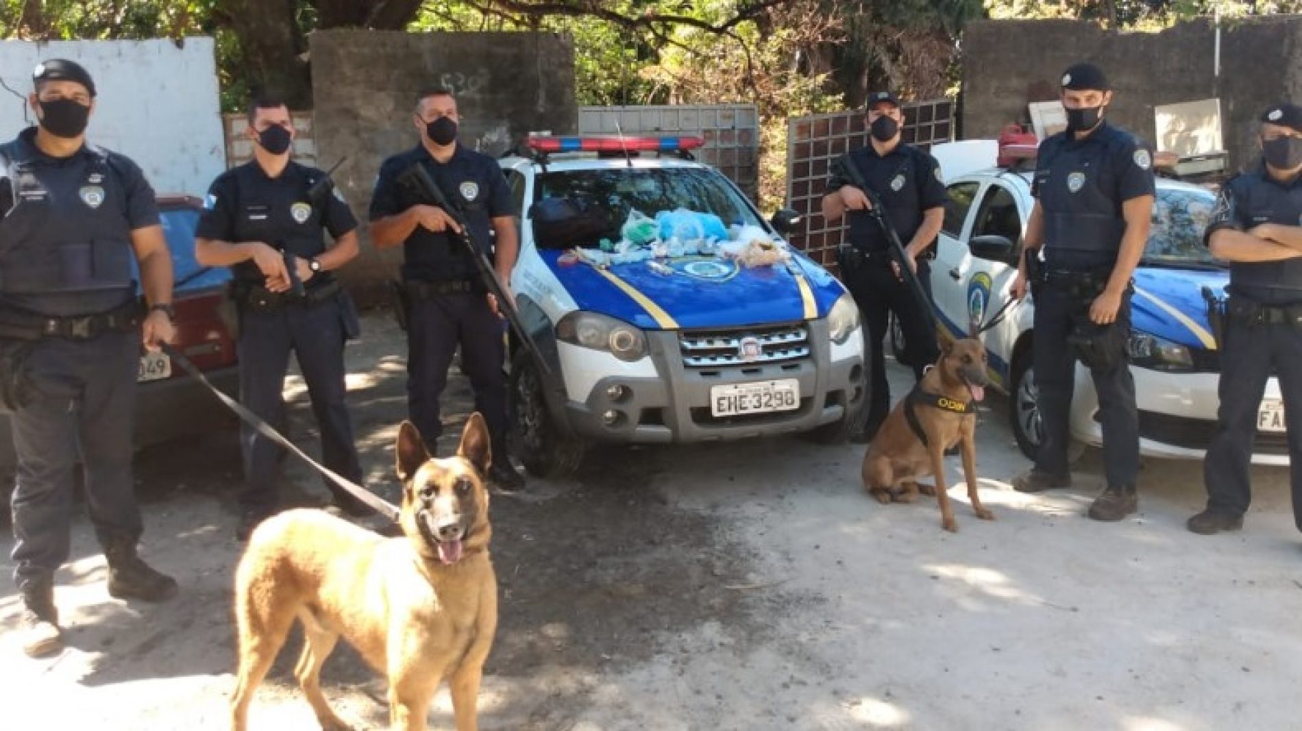 REGIÃO: Cães ajudam GCM a encontrar cocaína e maconha em terreno