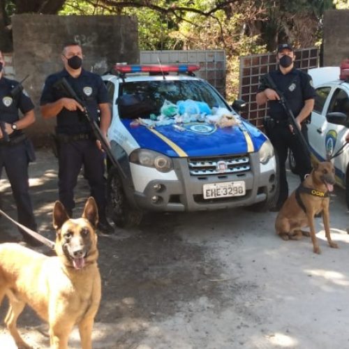 REGIÃO: Cães ajudam GCM a encontrar cocaína e maconha em terreno