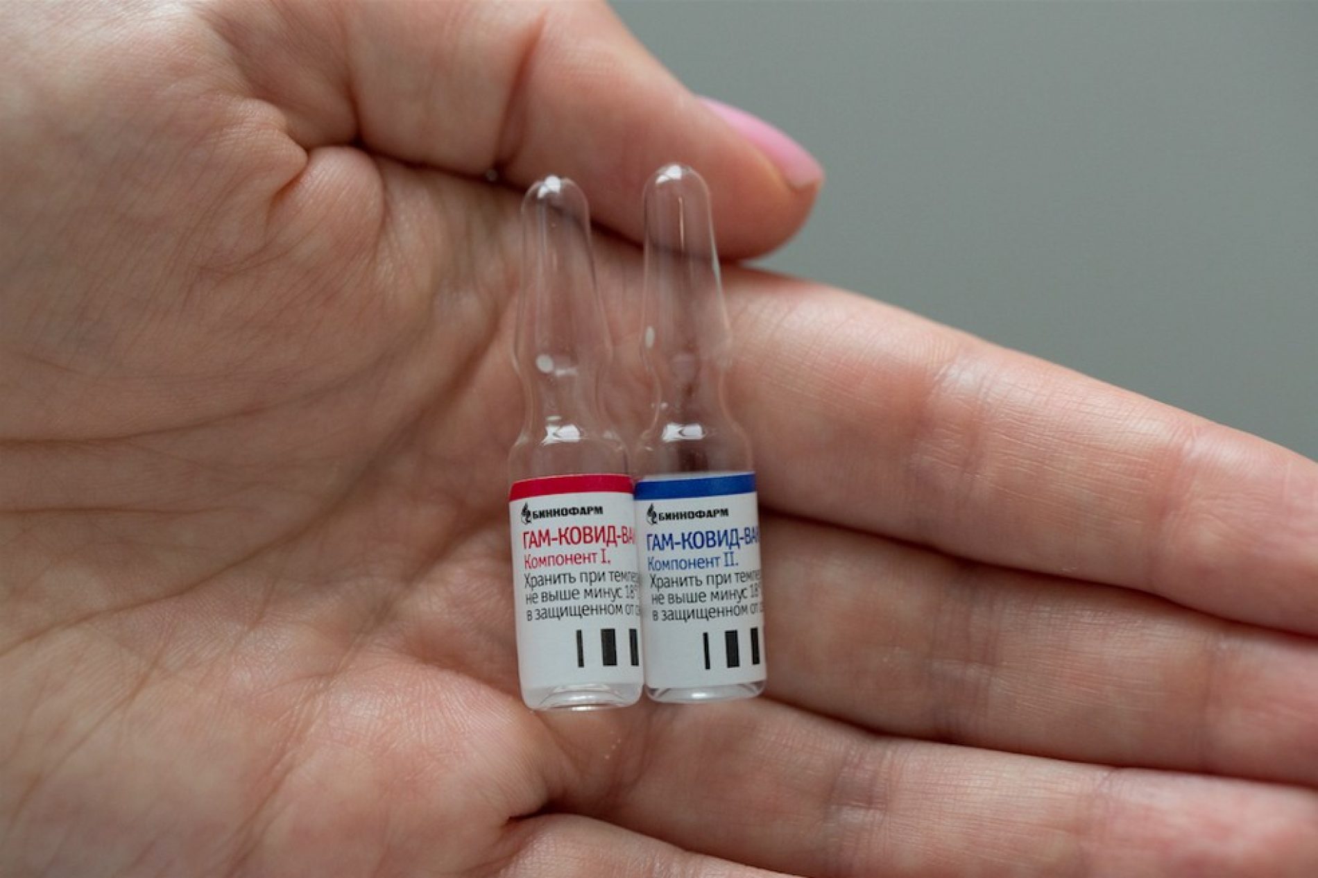 INTERNACIONAL: Primeiro lote da vacina russa contra Covid-19 é liberado para a população