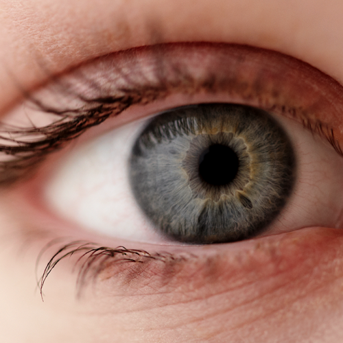 Tempo seco e queimadas aumentam a ocorrência de doenças oculares