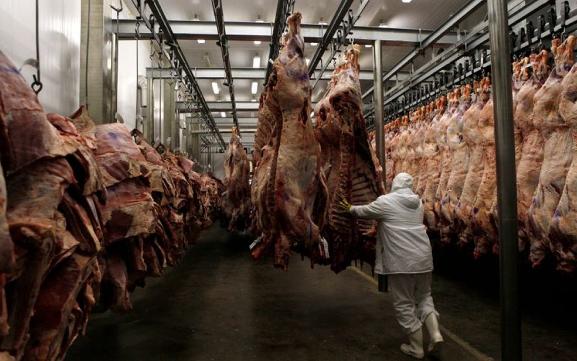 BARRETOS: China suspende importações de carne bovina de unidade de frigorifico por uma semana