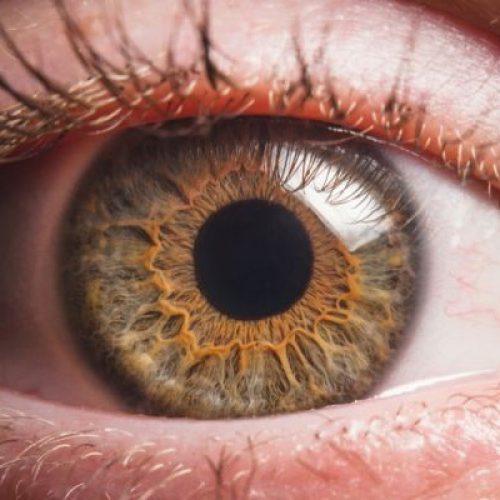 DIA MUNDIAL DO DIABETES: se não tratada corretamente, doença pode causar cegueira